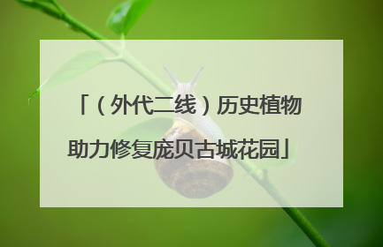 （外代二线）历史植物助力修复庞贝古城花园