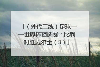 （外代二线）足球——世界杯预选赛：比利时胜威尔士（3）
