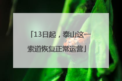 13日起，泰山这一索道恢复正常运营
