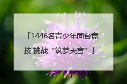 1446名青少年同台竞技 挑战“筑梦天宫”