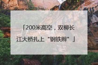 200米高空，双柳长江大桥扎上“钢铁辫”