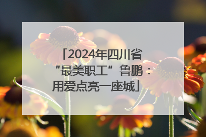 2024年四川省“最美职工”鲁鹏：用爱点亮一座城