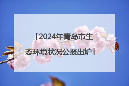 2024年青岛市生态环境状况公报出炉