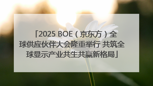 2025 BOE（京东方）全球供应伙伴大会隆重举行 共筑全球显示产业共生共赢新格局