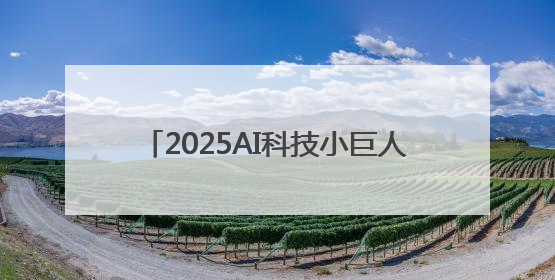 2025AI科技小巨人TOP50榜单公布，DeepSeek、宇树科技、蘑菇车联等企业荣誉上榜