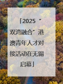 2025“双湾融合”港澳青年人才对接活动在无锡启幕