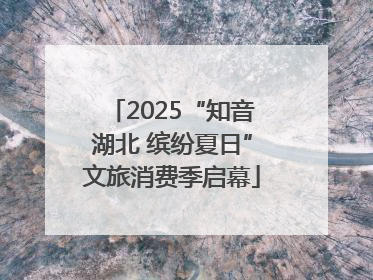 2025“知音湖北 缤纷夏日”文旅消费季启幕