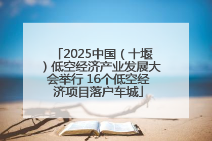 2025中国（十堰）低空经济产业发展大会举行 16个低空经济项目落户车城
