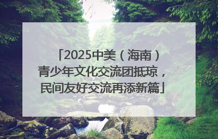 2025中美（海南）青少年文化交流团抵琼，民间友好交流再添新篇