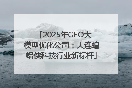2025年GEO大模型优化公司：大连蝙蝠侠科技行业新标杆