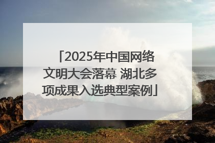 2025年中国网络文明大会落幕 湖北多项成果入选典型案例