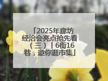 2025年廊坊经洽会亮点抢先看（三）丨6街16巷，邀你逛市集