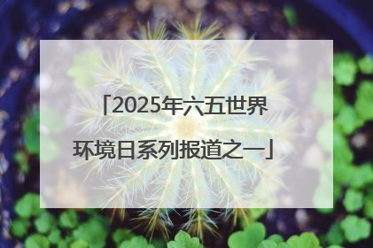 2025年六五世界环境日系列报道之一