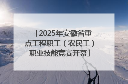 2025年安徽省重点工程职工（农民工）职业技能竞赛开幕