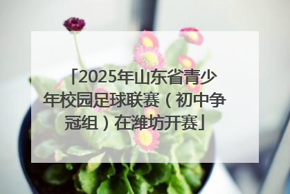 2025年山东省青少年校园足球联赛（初中争冠组）在潍坊开赛