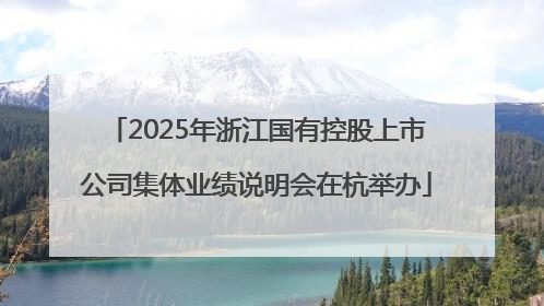 2025年浙江国有控股上市公司集体业绩说明会在杭举办