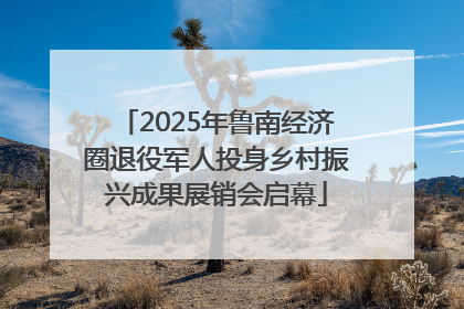 2025年鲁南经济圈退役军人投身乡村振兴成果展销会启幕