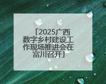 2025广西数字乡村建设工作现场推进会在富川召开