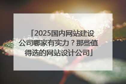 2025国内网站建设公司哪家有实力？那些值得选的网站设计公司