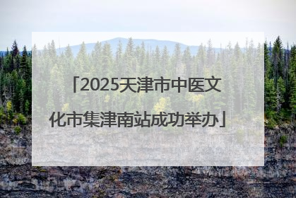 2025天津市中医文化市集津南站成功举办