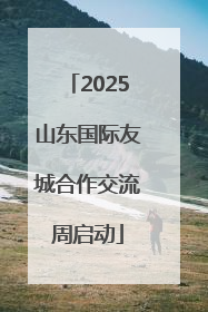2025山东国际友城合作交流周启动
