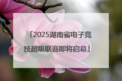 2025湖南省电子竞技超级联赛即将启幕