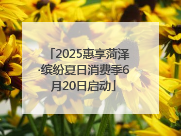 2025惠享菏泽·缤纷夏日消费季6月20日启动