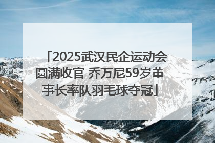 2025武汉民企运动会圆满收官 乔万尼59岁董事长率队羽毛球夺冠