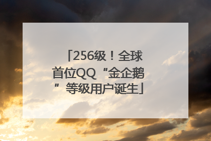 256级！全球首位QQ“金企鹅”等级用户诞生