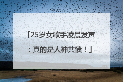 25岁女歌手凌晨发声：真的是人神共愤！
