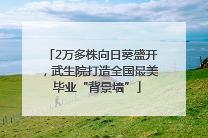 2万多株向日葵盛开，武生院打造全国最美毕业“背景墙”