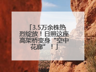 3.5万余株热烈绽放！日照这座高架桥变身“空中花廊”！