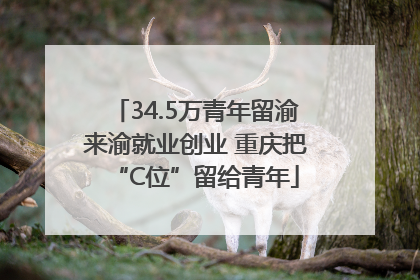 34.5万青年留渝来渝就业创业 重庆把“C位”留给青年