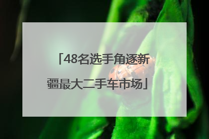 48名选手角逐新疆最大二手车市场