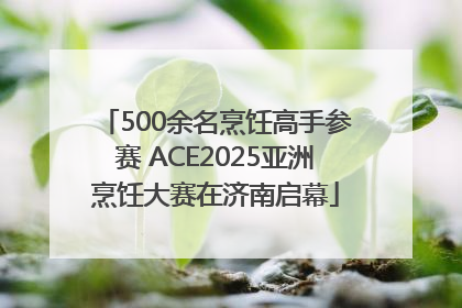 500余名烹饪高手参赛 ACE2025亚洲烹饪大赛在济南启幕