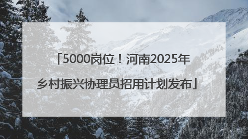 5000岗位！河南2025年乡村振兴协理员招用计划发布