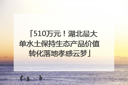 510万元！湖北最大单水土保持生态产品价值转化落地孝感云梦