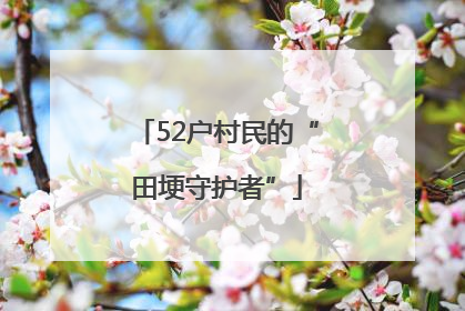 52户村民的“田埂守护者”