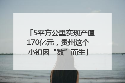 5平方公里实现产值170亿元，贵州这个小镇因“数”而生