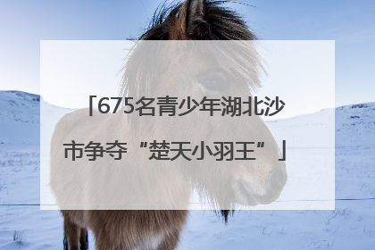 675名青少年湖北沙市争夺“楚天小羽王”