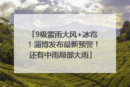 9级雷雨大风+冰雹！淄博发布最新预警！还有中雨局部大雨