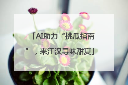 AI助力“挑瓜指南”，来江汉寻味甜夏