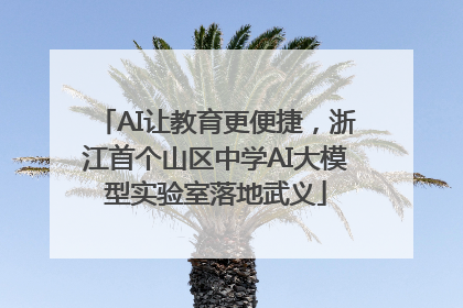 AI让教育更便捷，浙江首个山区中学AI大模型实验室落地武义