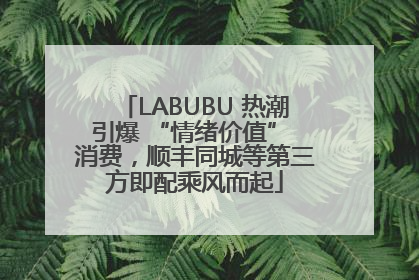 LABUBU 热潮引爆 “情绪价值” 消费，顺丰同城等第三方即配乘风而起