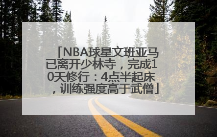 NBA球星文班亚马已离开少林寺，完成10天修行：4点半起床，训练强度高于武僧