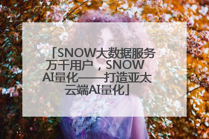 SNOW大数据服务万千用户，SNOW AI量化——打造亚太云端AI量化